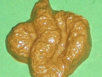 Senf-Krustenbraten - Rezept