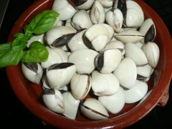 SUPPE/FISCH:Tom Ka Gai mit Vongole - Rezept - Bild Nr. 3