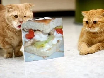 Schweinefilet im Fladenbrot - Rezept - Bild Nr. 4