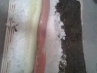 Rezept: Sushi Bild Nr. 3 Sushi - Rezept - Bild Nr. 3