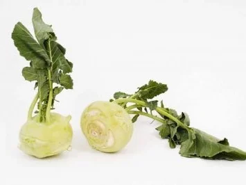 Rezept: Kohlsuppe a la Chef Bild Nr. 5 Kohlsuppe a la Chef - Rezept - Bild Nr. 5