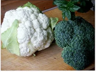 Rezept: Kohlsuppe a la Chef Bild Nr. 7 Kohlsuppe a la Chef - Rezept - Bild Nr. 7