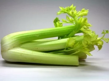 Rezept: Kohlsuppe a la Chef Bild Nr. 8 Kohlsuppe a la Chef - Rezept - Bild Nr. 8