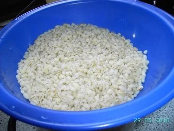 Graupensuppe - Rezept - Bild Nr. 3