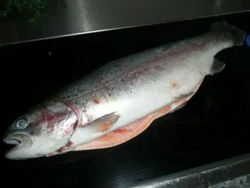 Rezept: HAUPTGERICHT/FISCH:Lachsforelle,gefüllt und im Päckchen Bild Nr. 3 HAUPTGERICHT/FISCH:Lachsforelle,gefüllt und im Päckchen - Rezept - Bild Nr. 3