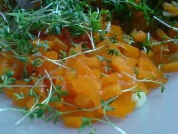 Gockel-Salat - Rezept - Bild Nr. 8