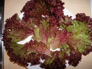 Rezept: MEDITERRANER Salatgenuss mit leichtem "Dressing", Ideal an warmen/heißen Sommertagen, BILDER FOLGEN!!! Bild Nr. 2 MEDITERRANER Salatgenuss mit leichtem "Dressing", Ideal an warmen/heißen Sommertagen, BILDER FOLGEN!!! - Rezept - Bild Nr. 2