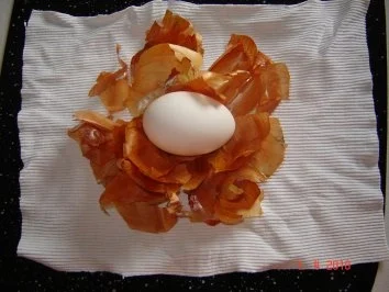 Osterhasen-Helferlein : Zwiebeleier (Bilder) - Rezept - Bild Nr. 2