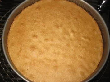 ♥✿ Mandarinenkäsesahnetorte ✿♥ - Rezept - Bild Nr. 4