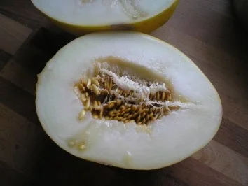 Rezept: Papageienfischfilet mit orientalischer Note Bild Nr. 3 Papageienfischfilet mit orientalischer Note - Rezept - Bild Nr. 3