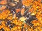 Muscheln vom Blech - Rezept - Bild Nr. 8