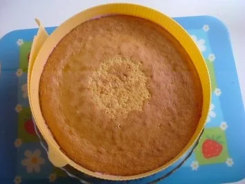 TORTE: MEINE ERDBEER-SCHMAND-TORTE - Rezept - Bild Nr. 5