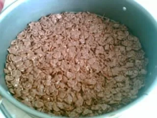 Pitahaya-Pudding-Torte - Rezept - Bild Nr. 3