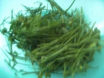 Grüne Soße mit Ei und Kartoffeln   Salatbeilage - Rezept - Bild Nr. 2