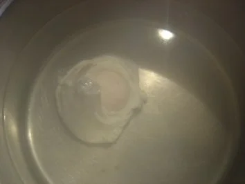 Blattspinat-Nest mit verlorenem Ei - Rezept - Bild Nr. 3