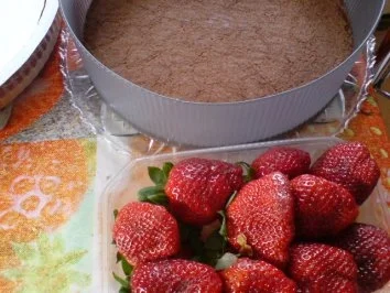 Rezept: Erdbeer-Sahne-Torte Bild Nr. 3 Erdbeer-Sahne-Torte - Rezept - Bild Nr. 3