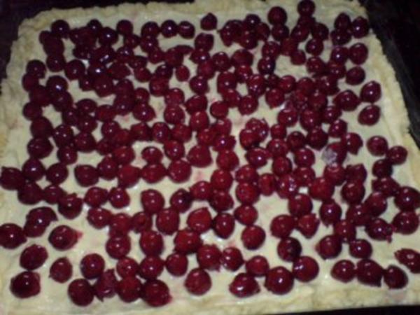 Kirschkuchen mit Eierschecke - einfach - von loewe_bs