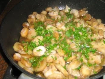 Schweinemedailions ummantelt auf Spätzle mit Champignons - Rezept - Bild Nr. 5