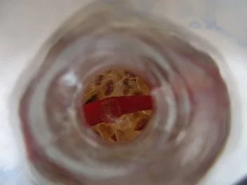 Rezept: Peperoni-Likör Bild Nr. 3 Peperoni-Likör - Rezept - Bild Nr. 3