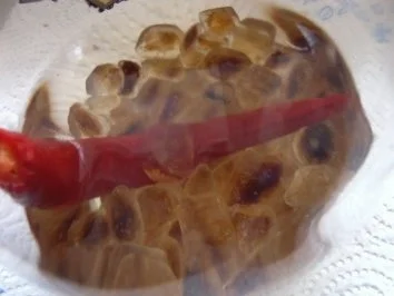 Rezept: Peperoni-Likör Bild Nr. 4 Peperoni-Likör - Rezept - Bild Nr. 4