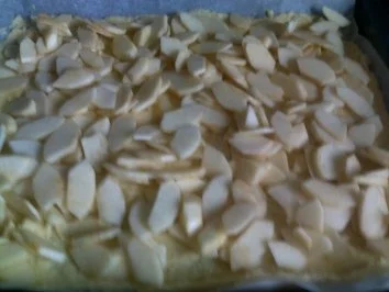 Blechkuchen - Apfel-Steusel mit Quark - Rezept - Bild Nr. 6