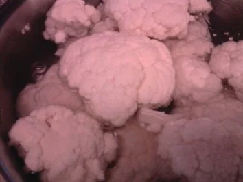 Rezept: Blumenkohl in cremiger Sosse Bild Nr. 2 Blumenkohl in cremiger Sosse - Rezept - Bild Nr. 2