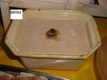 Rezept: Thonmousse Thonmousse - Rezept