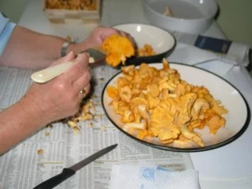 Rezept: Pilzschmarrn böhmisch Bild Nr. 2 Pilzschmarrn böhmisch - Rezept - Bild Nr. 2