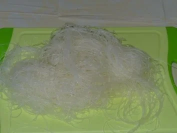 Frühlingsrollen - Rezept - Bild Nr. 4