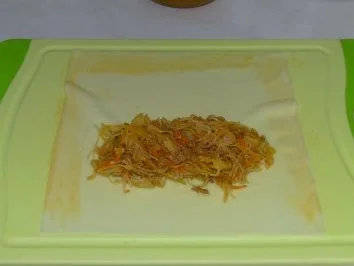 Frühlingsrollen - Rezept - Bild Nr. 6