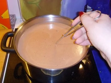 Espresso/ Schokopudding mit Mangomus.... - Rezept - Bild Nr. 3