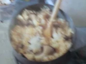 Pilzrisotto - Rezept