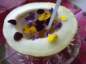 Blüten-Frühlings-Zauber - Rezept