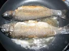 Forelle Müllerin Art - Rezept - Bild Nr. 2