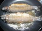 Forelle Müllerin Art - Rezept - Bild Nr. 2
