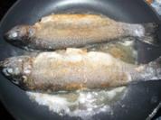 Forelle Müllerin Art - Rezept - Bild Nr. 2