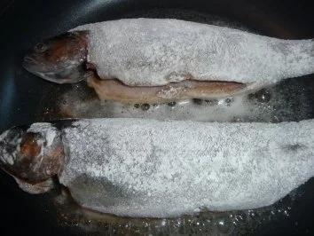 Forelle Müllerin Art - Rezept - Bild Nr. 3