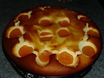 Käsekuchen mit Aprikosen - Rezept