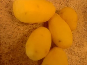 Rezept: Herzhafte Röstkartöffelchen Bild Nr. 4 Herzhafte Röstkartöffelchen - Rezept - Bild Nr. 4