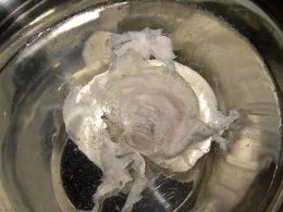 Frittierte, pochierte Eier - Rezept - Bild Nr. 3