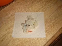 Rezept: Mini-Frühlingsrollen Bild Nr. 5 Mini-Frühlingsrollen - Rezept - Bild Nr. 5