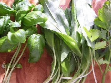 Spagetti mit Bärlauchpesto und etwas trallala - Rezept