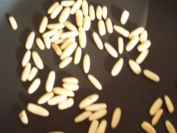 Spagetti mit Bärlauchpesto und etwas trallala - Rezept - Bild Nr. 2