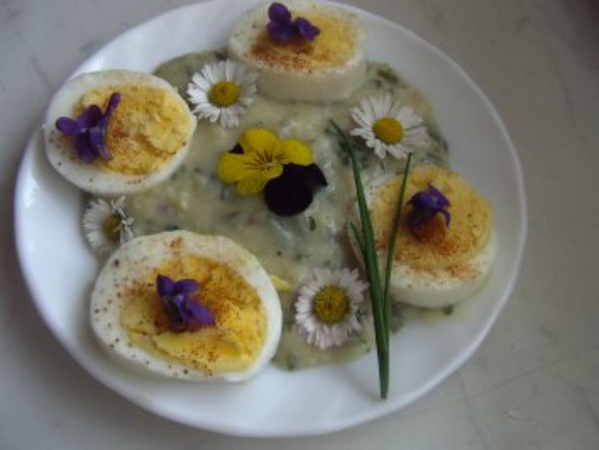 Eier auf Kräuter-Senf-Soße - Rezept mit Bild - kochbar.de
