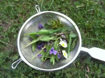 Eier auf Kräuter-Senf-Soße - Rezept - Bild Nr. 5