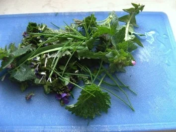 Eier auf Kräuter-Senf-Soße - Rezept - Bild Nr. 6