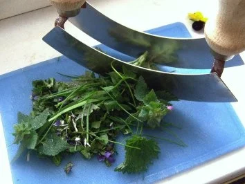 Eier auf Kräuter-Senf-Soße - Rezept - Bild Nr. 7