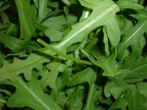 Rezept: Kartoffel-Gyrospfanne auf Rucola mit Auberginen-Nocke Bild Nr. 3 Kartoffel-Gyrospfanne auf Rucola mit Auberginen-Nocke - Rezept - Bild Nr. 3
