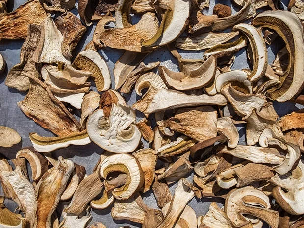 Pilze trocknen im Umluft-Herd - Rezept - Bild Nr. 2