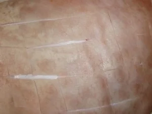 Grappa-Honig-Schweinebraten mit Steinpilz-Schalottensauce und Rucolareis - Rezept - Bild Nr. 3